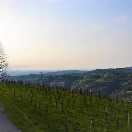 게스트하우스 Pri Marjotu 3*