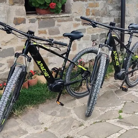 Pri Marjotu 게스트하우스