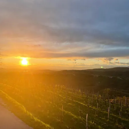 Pri Marjotu 3* Kojsko