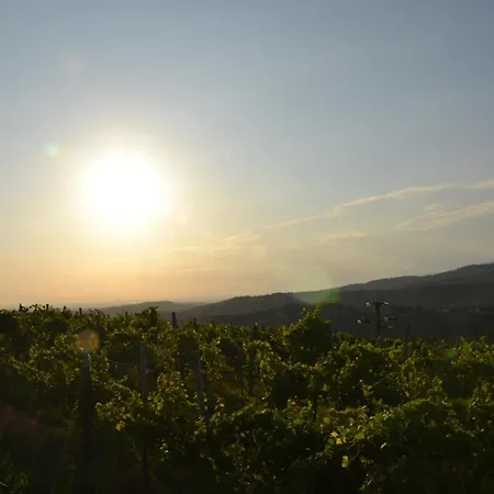 게스트하우스 Pri Marjotu Kojsko