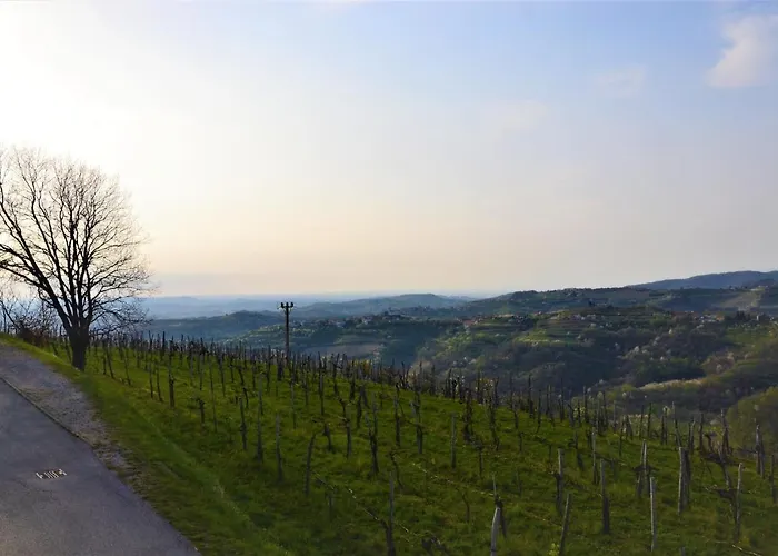 Penzion Pri Marjotu 3*