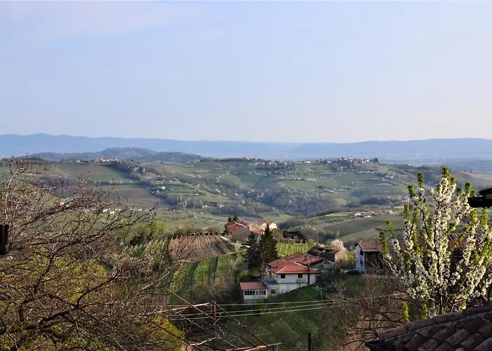 Pri Marjotu 3* Kojsko